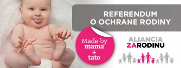 Referendum - čo s ním?