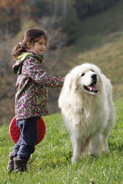 Ako sa nerozviesť (20. 12. 2014)