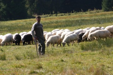 Láska je dar, nie odmena
