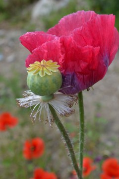 Ako byť citlivý k žene (2)