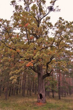 Najvyšší čas otvoriť sa životu
