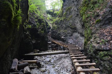 Život v prospech druhých