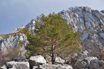 So satanom je koniec