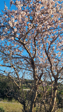 Božie Kráľovstvo rastie s nami a okolo nás