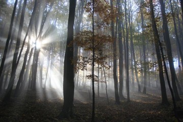 Zodvihnime hlavy - blíži sa naše vykúpenie...