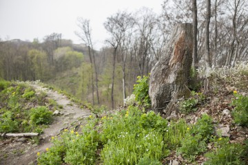 Kuffa: Nedajme zlu šancu