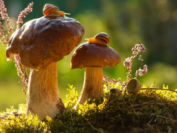 Vertikála a horizontála v komunikácii