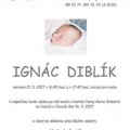 IgnÃ¡c DiblÃ­k